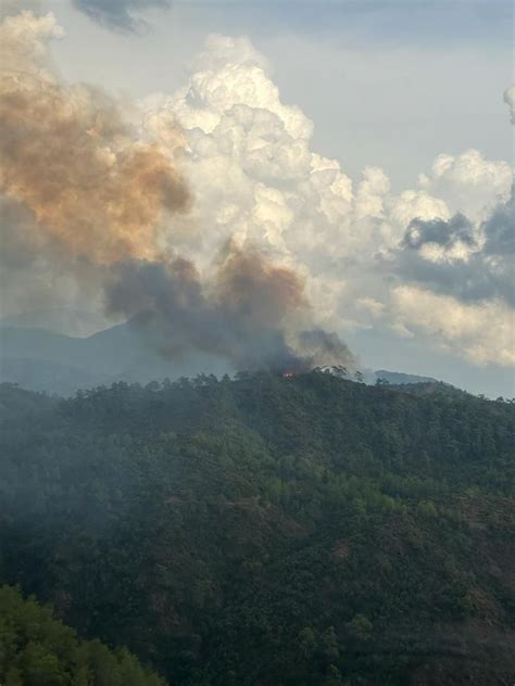 Y­ı­l­d­ı­r­ı­m­ ­d­ü­ş­e­n­ ­6­ ­n­o­k­t­a­d­a­ ­o­r­m­a­n­ ­y­a­n­g­ı­n­ı­ ­ç­ı­k­t­ı­ ­-­ ­S­o­n­ ­D­a­k­i­k­a­ ­H­a­b­e­r­l­e­r­
